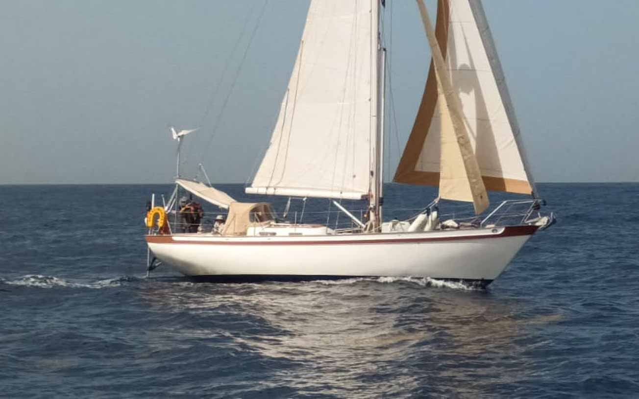 Tradewind 35